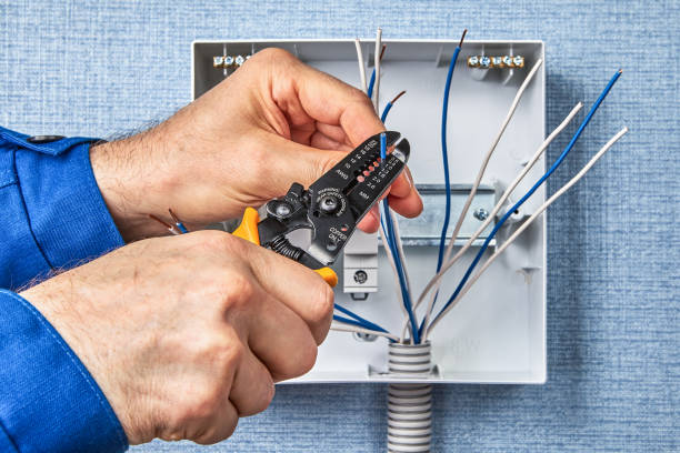 Best Electrical Remodeling Services  in Columbus, NM